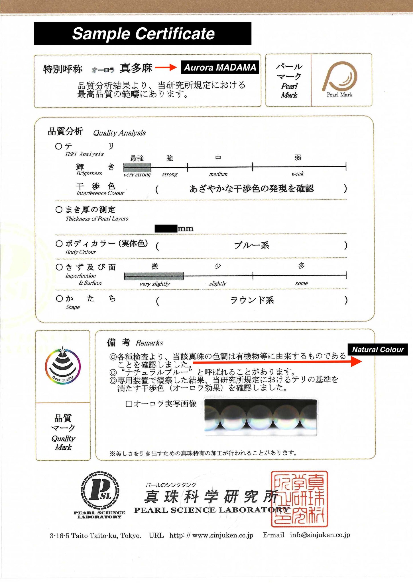 Classique | 8-8.5mm Madama Akoya Pearl Necklace | オーロラ 真多麻